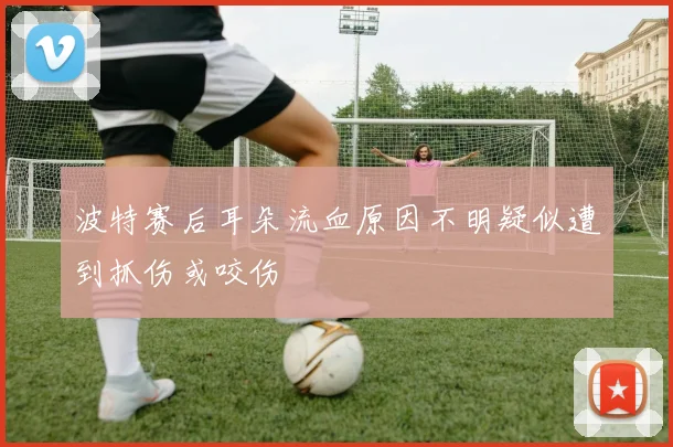 波特赛后耳朵流血原因不明疑似遭到抓伤或咬伤