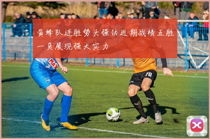 黄蜂队连胜势头强劲近期战绩五胜一负展现强大实力