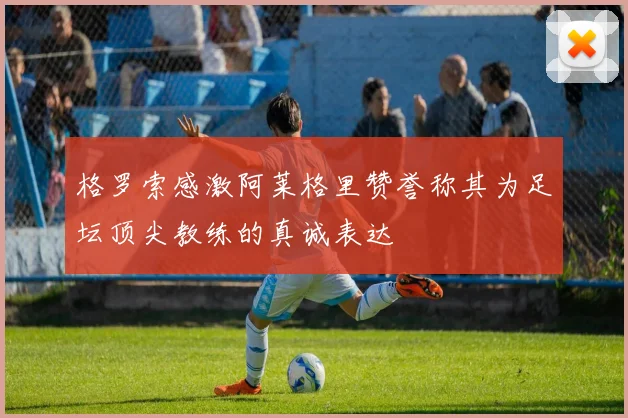 格罗索感激阿莱格里赞誉称其为足坛顶尖教练的真诚表达